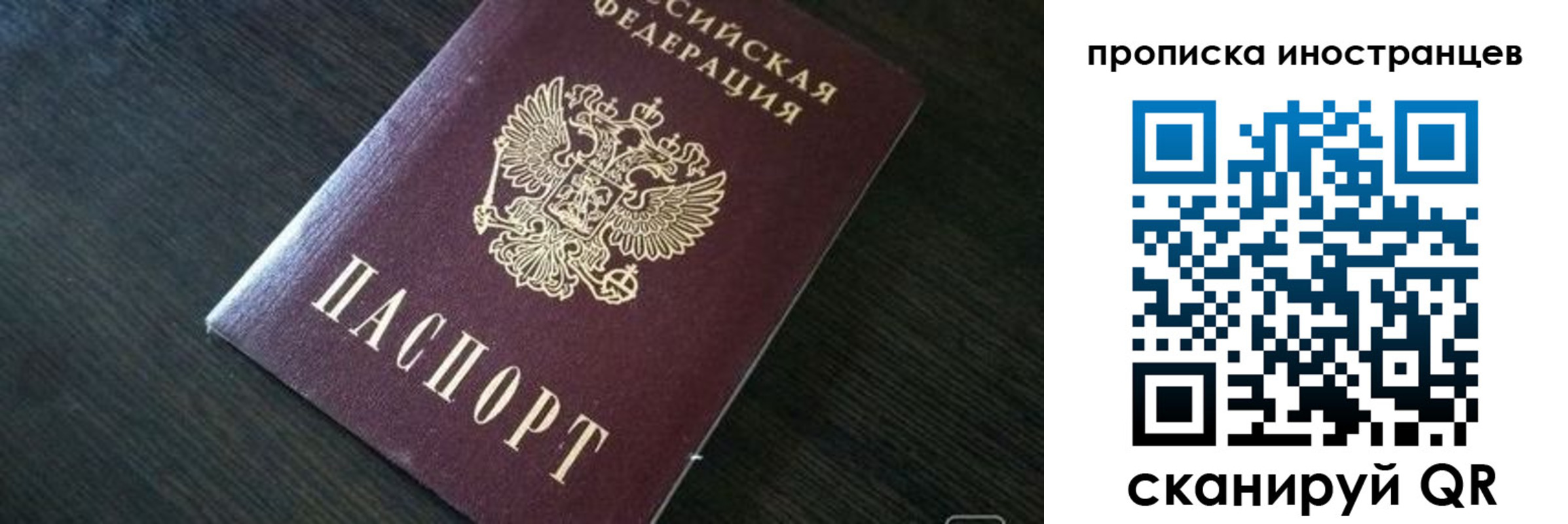 прописка 2025 в Полярных Зорях